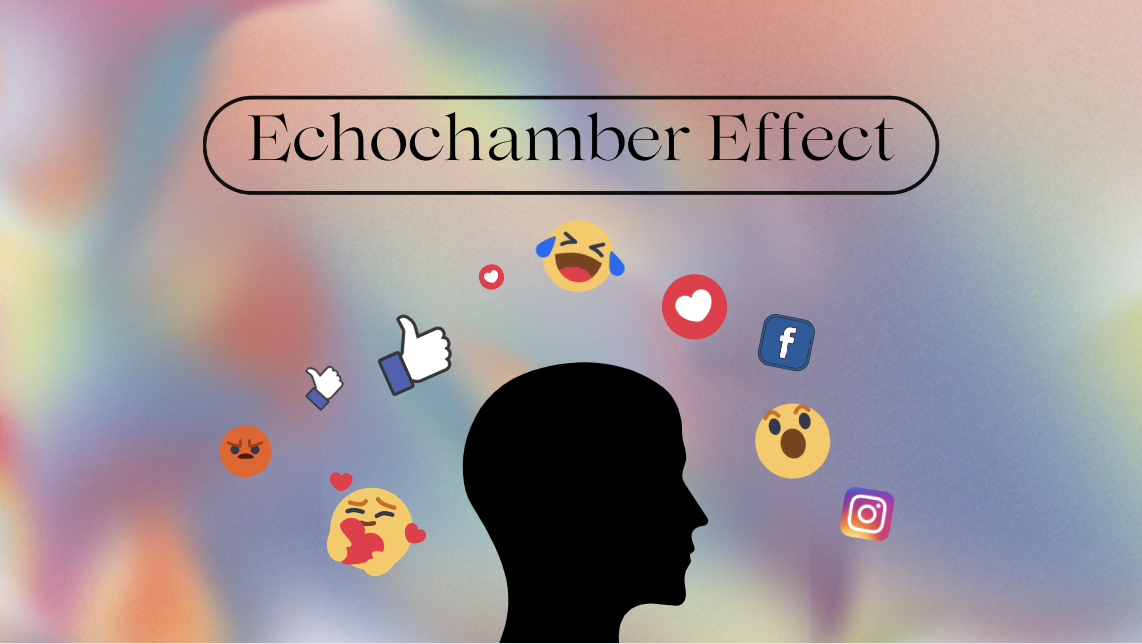 The Echo Chamber Effect